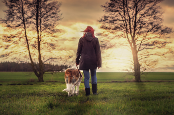 image for New Year Fitness Goals with Your Pets
